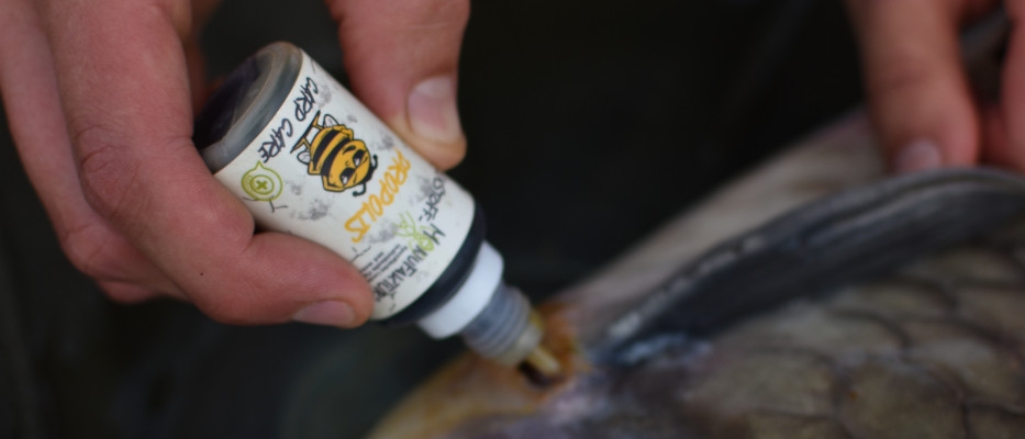 Carp Care