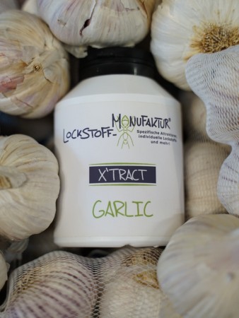 Knoblauch hat eine besondere Anziehungkraft auf Karpfen - mit unserem natürlichen Garlic X'TRACT erhalten Deine Boilies eine besonders fängige Note!