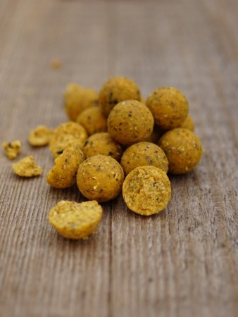 Scopex Boilies mit dem gewissen Extra: die Scopex'ZYM Enzym Boilies sind dank der Enzymbehandlung, legendärem Scopex Flavours und wasserlöslichem Squid Extrakt extrem attraktiv für Karpfen.