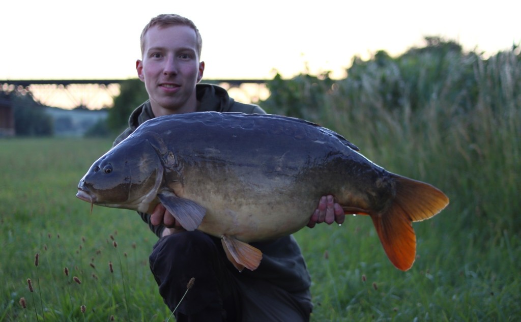 Almond Flavour für Boilies - Mandel Flavour (Marzipan) für Karpfen ...