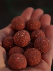 Liva'ZYM Enzym Boilies 24mm