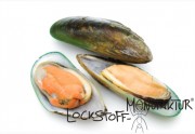 Mussel Extract