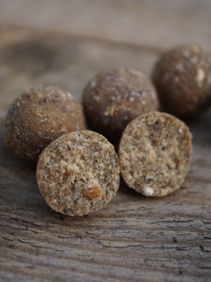 Die besondere Struktur und die hochwertigen Proteine aus einem speziellen Aufzuchtsfutter aus der Aquakultur bieten die optimale Grundlage für die Enzymbehandlung. Die Asafoetida Enzym Boilies werden dann noch mit dem legendären Asafoetida Flavour abgerun