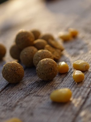 Dosenmais - es gibt wohl kaum einen Karpfen, der die kleinen gelben Körner nicht mag. In den Fermented Sweetcorn Enzymboilies sind verschiedene fermentierte Maisprodukte enhalten, die ihnen eine sehr fängige Note verleihen.