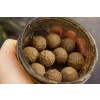 Mit Enzymen lassen sich Boilies und Hookbaits nachbehandeln und somit wesentlich attraktiver für den Karpfen machen.