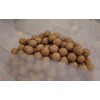 Aber auch instant sorgen die Foodie Boilies für schnelle Bisse. Dank der hohen Wasserlöslichkeit und leicht verdaulichen Zusammensetzung kann man diese Fisch Boilies auch problemlos im Winter fischen.