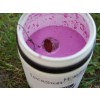 Die milchig-violette Farbe mit den gröberen Komponenten sorgt zusammen mit dem fruchtigen Geschmack für einen fängigen Hookbait.