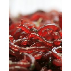 Frische Zuckmüchenlarven bilden die Basis des Aquatic Food Boilie Soak. Tubifex hat eine unwahrscheinlich hohe Lockwirkung auf Karpfen.