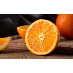 Boiliesoak mit natürlichem Orangenöl - ein instant fängiger Karpfenlockstoff!