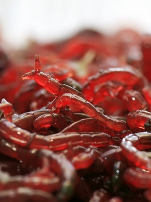 Frische Zuckmüchenlarven bilden die Basis des Aquatic Food Boilie Soak. Tubifex hat eine unwahrscheinlich hohe Lockwirkung auf Karpfen.