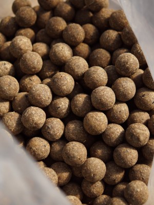 Die Asafoetida Enzym Boilies sind proteinreiche Fischboilies, die vollständig mit Enzymen aufgeschlossen wurden und so extrem attraktiv für Karpfen sind.
