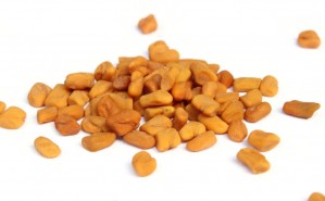 Das Fenugreek Oleoresin wird aus besten Bockshornkleesamen gewonnen und besitzt einen charakteristischen, würzig-intensiven Geruch und Geschmack, den die Karpfen lieben.