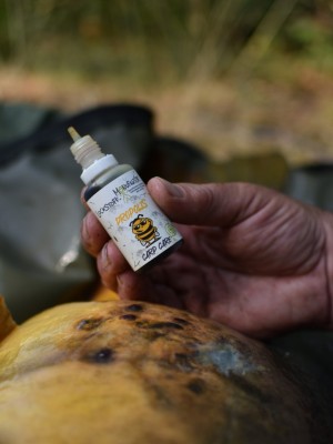 Die Anwendung der Propolis Carp Care Wundbehandlung ist einfach: die entsprechende Stelle des verletzten Karpfens etwas trockentupfen und das Propolis auftragen. 