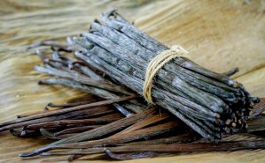 Natürliche Extrakte aus Vamilleschoten, die legendäre Bourbonvanille und mehr als 250 verschiedene Verbindungen sorgen dafür, dass die Karpfen vom Vanilla Flavour stark angelockt werden.