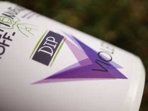 Violet - diesem Dip können Karpfen auch in stark befischten Gewässern kaum widerstehen.