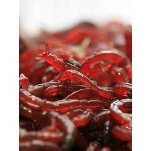 Frische Zuckmüchenlarven bilden die Basis des Aquatic Food Boilie Soak. Tubifex hat eine unwahrscheinlich hohe Lockwirkung auf Karpfen.