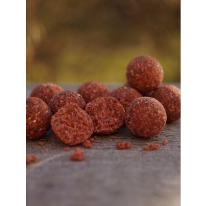 Die Liva'ZYM Enzym Boilies sind enzymbehandelte Leberboilies mit maximaler Lockwirkung auf Karpfen. Perfekt für den Futterplatz!