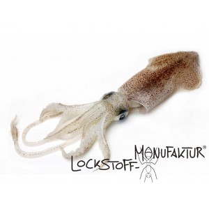 Squid und Tintenfisch als Flavour, Zutat für Boilie und als natürlicher Lockstoff für Karpfen.