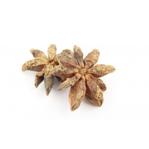 Ein besonderer Extrakt aus bestem Sternanis lässt das Star Anise Flavour zu einem sehr fängigen, hochattraktiven Flavour für Karpfen werden.