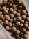 Die Asafoetida Enzym Boilies sind proteinreiche Fischboilies, die vollständig mit Enzymen aufgeschlossen wurden und so extrem attraktiv für Karpfen sind.