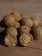 Enzymatisch aufgeschlossener Fischboilie - die Asafoetida Enzym Boilies sind dank der hochwertigen Zutaten, die mit Enzymen aufgeschlossen werden, die ultimativ fängigen Enzym Boilies für Karpfen.