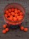 Leuchtend orange, UV-aktiv, ultra schwimmfähig - die Fluo Pop Ups Orange sind hochattraktive Pop Ups für Karpfen, die mit einem besonderen Trigga Shot noch fängiger werden.