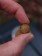 Die spezielle Zusammensetzung der Hard Hookbaits sorgt für eine maximale Abgabe der Lockstoffe, Attraktoren und Futterstimulanzien. Zusammen mit den Fermented Tigernut Enzymboilies unschlagbar fängig!