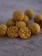 Die Fermented Sweetcorn Enzymboilies sind enzymbehandelte Boilies mit einem süßlich-fermentierten Mais-Geschmack, den die Karpfen einfach lieben.