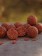Die Liva'ZYM Enzymboilies sind enzymatisch aufgeschlossener Leberboilies aus besten Zutaten. Hochattraktiv, leicht verdaulich und extrem attraktiv für Karpfen!
