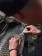 Auch verletzte Flossen lassen sich mit der Propolis Carp Care Wundbehandlung schnell, einfach und sicher versorgen. Und das 100 % natürlich, unschädlich für Fisch und Gewässer.