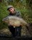 Hochattraktive hard Hookbaits für Karpfen: die Fermented Sweetcorn Hookbaits sind Enzym Hookbaits der Extraklasse! Da kann kein Karpfen widerstehen...