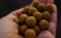 Durch die grobe Struktur der enzymatisch aufgeschlossenen Fermented Sweetcorn Boilies werden die enthaltenen Attraktoren gut ausgewaschen und locken die Karpfen schnell an.