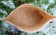 Das Fermented Tigernut Groundbait ist durch die enzymatische Aufbereitung hochattraktiv für Karpfen - löslich, leicht verdaulich und extrem fängig!