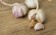 Knoblauch besitzt eine nachgewiesene Lockwirkung auf Karpfen. Das Garlic Flavour enthält eine Vielzahl an für den Karpfen gut wahrnehmbaren Attraktoren.