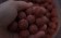 Enzymatisch aufgeschlossene Boilies sind für den Karpfen leichter wahrnehmbar, um ein Vielfaches attraktiver und einfacher zu verdauen. Liva'ZYM - ein ezymatischisch aufgeschlossener Leberboilie.