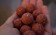 Leberboilies mal anders: der Liva'ZYM Enzymboilie kommt ohne künstliche Flavours aus und wird mit Hilfe von speziellen Enzymen um ein Vielfaches fängiger als andere Boilies.
