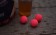Pinke Fluo Pop Ups eignen sich ideal als kleiner, auffälliger Topper zu einem größeren Boilie. Der zusätzliche farbliche Reiz bingt oft schnelle Bisse.