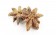 Ein besonderer Extrakt aus bestem Sternanis lässt das Star Anise Flavour zu einem sehr fängigen, hochattraktiven Flavour für Karpfen werden.