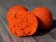 Colour Fluoro-Orange für kräftige und gut wahrnehmbare Hakenköder, (Fluo-)Pop Ups usw.