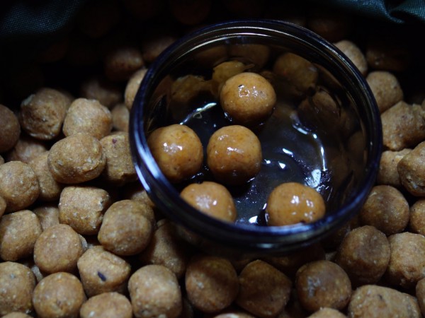 Enzymaktive, fermentierte Zutaten, Boilies und Partikel sind extrem fängig - mit Alive lassen sich alle Köder behandeln.