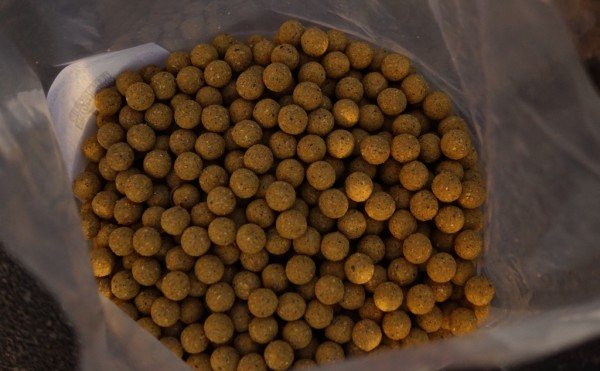 Auch die Konsistenz des Fermented Sweetcorn Boilies ist besonders: durch die enzymatische Aufbereitung ist er weich und fest zugleich und hat eine leicht klebrige Oberfläche.