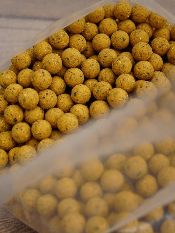 Dank der warmgelben, völlig natürlichen gelben Farbe sind die Scopex Boilies perfekt für das Karpfenangeln im Frühjahr. Aber auch an den großen französischen Stauseen sind die Scopex Plus Boilies unschlagbar fängig.