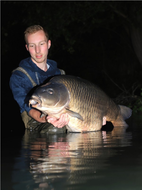 Die enzymbehandelten Fermented Sweetcorn Boilies sind sowohl instant beim Karpfenangeln im Frühjahr, als auch auf dem Futterplatz ein Garant für dicke Karpfen.