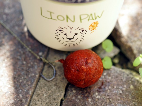 Sofort einsatzbereit und fängig - ein Boilie ummantelt mit Lion Paw Jellyfish.