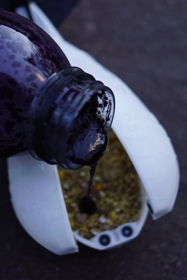Das dickflüssige Mojo Liquid lässt sich pur oder mit etwas Groundbait auch spodden - maximal fängig!
