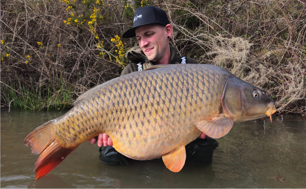 Fangrausch in Frankreich, Carplife in Österreich und selektives Karpfenangeln - Jahresrückblick Teil 2