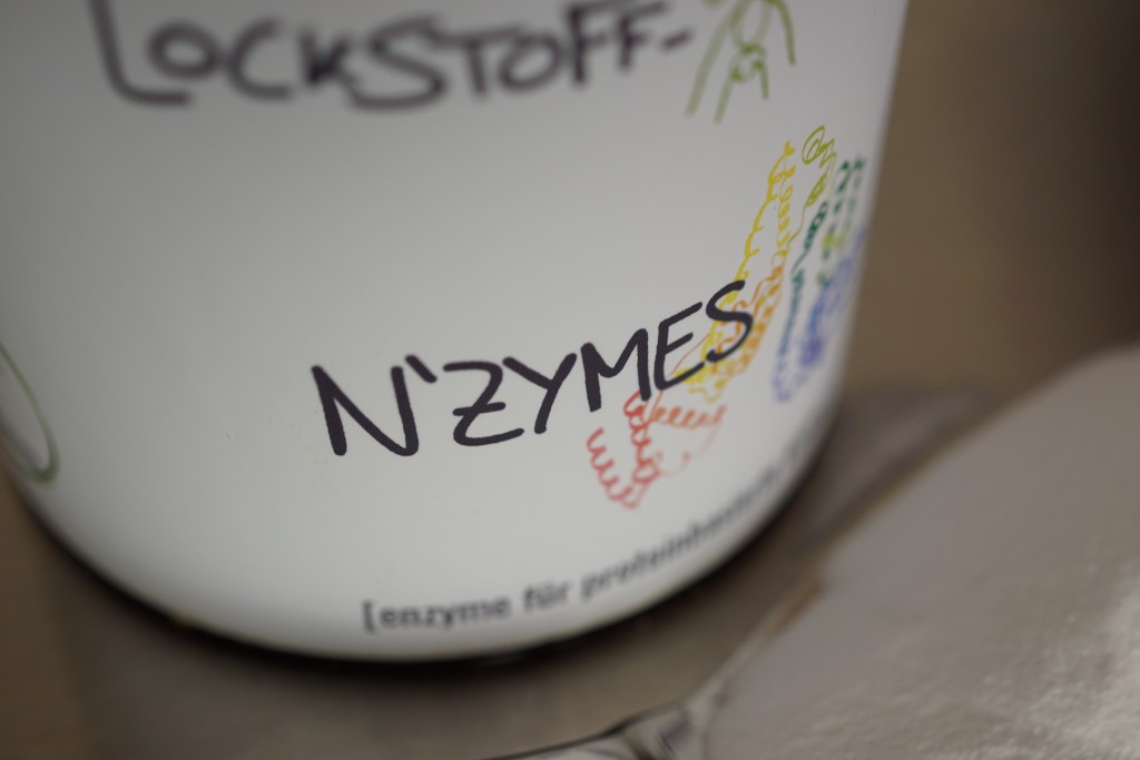 N'ZYMES: spezielle Enzyme für proteinhaltige Boilies und Kohlenhydrat-Baits