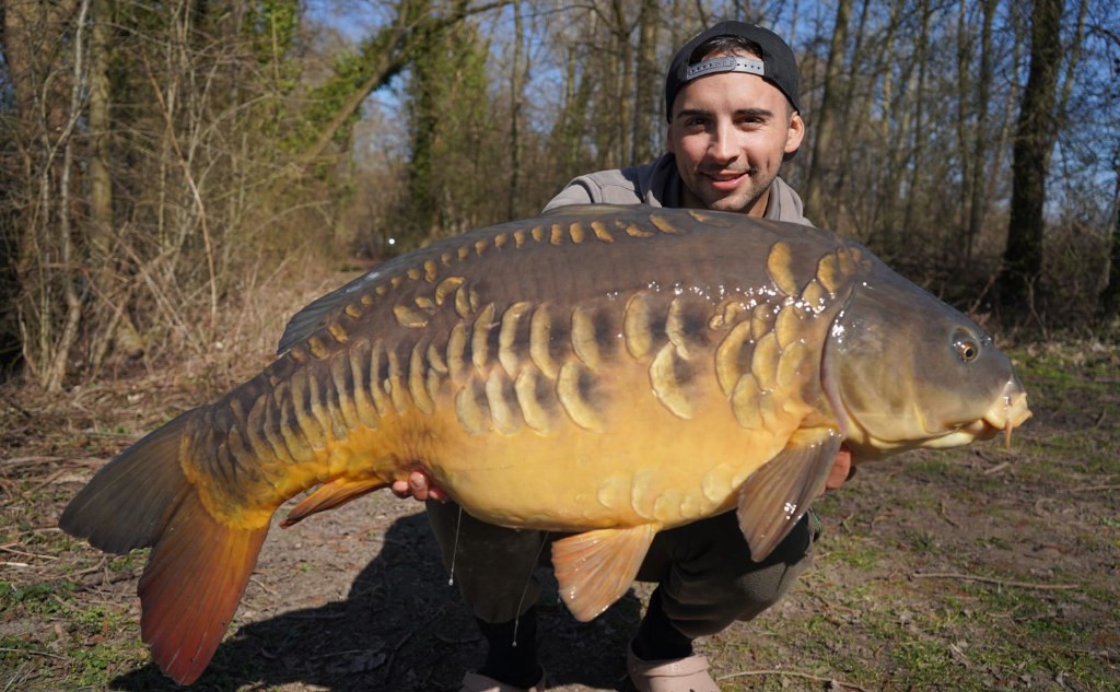 Zielfische, Enzym Boilies und große Karpfen