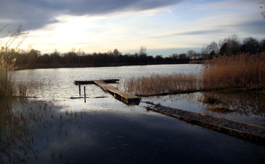 Karpfenangeln im Winter - Gewässerwahl und Location