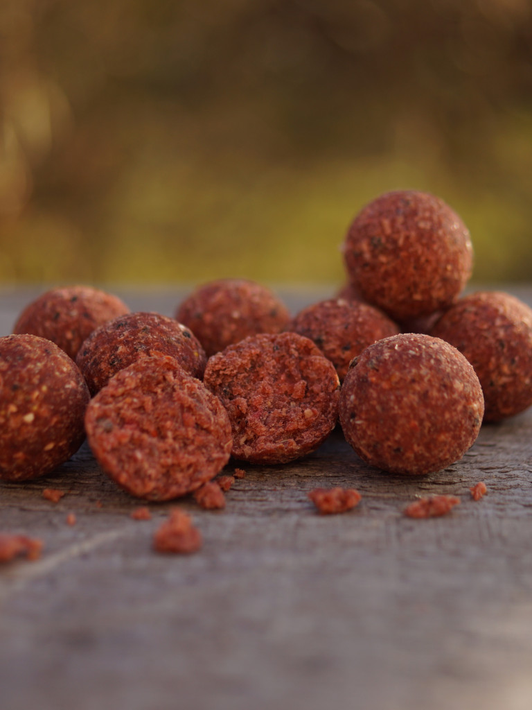 Enzymatisch aufgeschlossener Leberextrakt als Boilie: die Liva'ZYM Leber Enzym Boilies sind hochattraktiv für Karpfen.